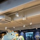 산호동113 | 창원NC파크 테이블석 113구역 27열 7,8번석 시야 및 먹거리 후기