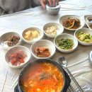 진솔할머니순두부 | 속초 짬뽕 순두부 맛집 애견동반 실내가능 진솔할머니순두부 솔직후기