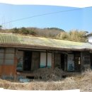 이층집뼈다귀 이미지