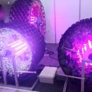 팜코리아 이미지