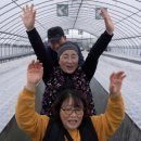 혜숙농장 이미지