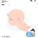 전통전각과 캘리전각 | 임신 후기 / 출산 후 해야할 일 정리하기