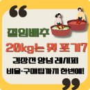 (12/13) 배추김치 담그기 | 절임배추 20kg는 몇 포기? 김장전 양념 레시피·비율·구매팁까지 한번에!