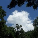 칠갑산자연휴양림 이미지