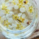 화개농원 | 경남 하동 구례 - 유로제다 정금차밭 풀꽃농원 화개장터 차실체험 계곡물놀이