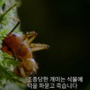 (주)장생바이오 네이버블로그