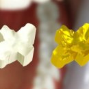 윤치과기공소 이미지