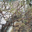 강남찜고을 이미지