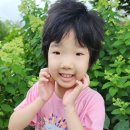 무지개빛 작은도서관 이미지