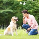 라이코 바이탈 코리아 이미지