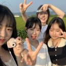 마차다방 이미지