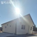 밀키스테이 이미지