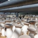 성무농장 이미지