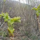 큰밭농원 이미지