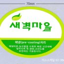 카스스케일 - 전주시덕진구 | 카스스케일