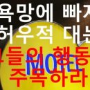 바람난고양이 이미지