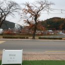 벚꽃로343