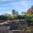 서귀포남원공인중개사사무소 이미지