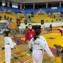 호랑이태권도 이미지