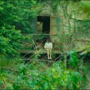 좋은친구보육원 이미지