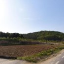 신기리 도로변 이미지