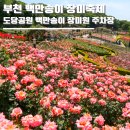 까치울역 4번 출구 | 부천 백만송이 장미축제 2026 기본정보 도당공원 백만송이 장미원 주차장