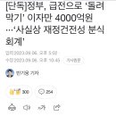 재정분식 이미지