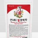 팥&호박