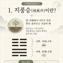 오늘의 주역점 지풍승 2효