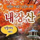 제이캠프 테마여행사 이미지