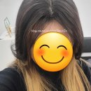 메이에르진 이미지