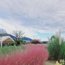 161스튜디오 이미지