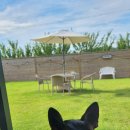 스테이숨 이미지