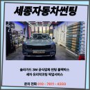 세종썬팅365카틴트솔라가드세종장군점