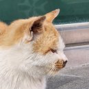 지구한바퀴공인중개사사무소 이미지