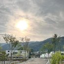 트리캠핑장 이미지
