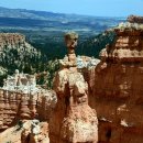 여왕의정원 이미지