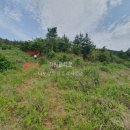 다보부동산중개사무소 이미지