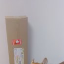 키친딜리스 | [키친딜리스] 반영구 롤클리너 사용후기