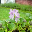 남원서원초등학교 이미지