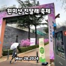 원미산 진달래 축제 / 사진 구르 이미지