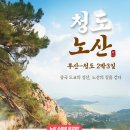 정투어여행사