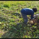 태우농장 이미지