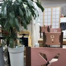 천진동 만두 버섯전골 | [🍴맛집/강원춘천]천진동만두버섯전골 석사점