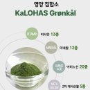 칼로하스 & 마이밀 뉴프로틴 꿀조합｜내돈내산 1년 넘게 먹고 정착한 다이어트식단