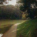 제이디치과의원 | [진료소개] 미금역 치과, 건강한 치아를 위한 선택!