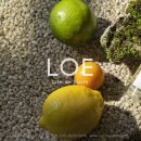 BREEZE무인호텔 | 서울 홍대입구역 연남동 향수 플래그십 스토어 : 로에 연남 시향기