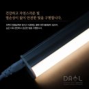 다올라이팅