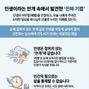 헤벨(הֶבֶל) 이미지