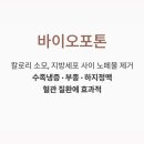 바이오포톤 이미지